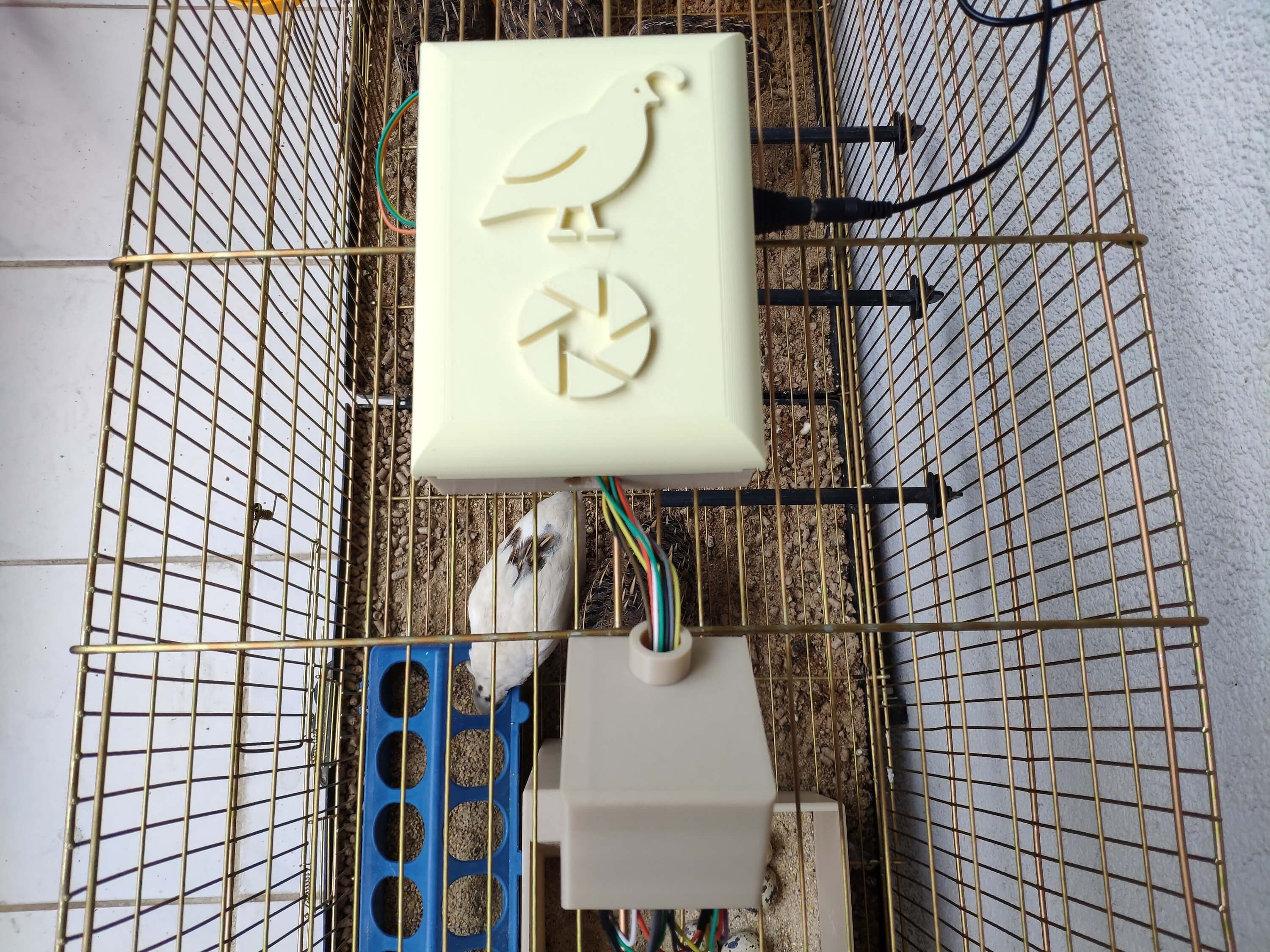 LattePanda windows 10 SBC IoT AI-driven Poultry Feeder and Egg Tracker